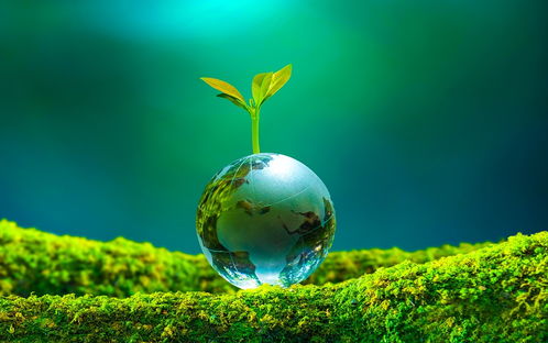 中國版綠色發(fā)展馬歇爾計劃 提升金融國際影響力與生態(tài)環(huán)境材料銷售的雙贏戰(zhàn)略