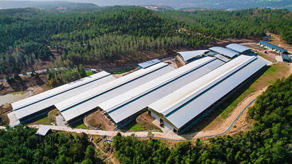 綠色引擎驅動鄉村蝶變——昭化區探索生態材料銷售與鄉村振興融合新路徑