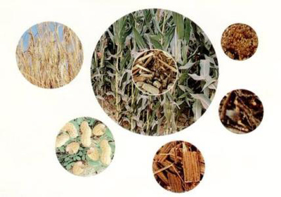 清潔可再生能源與生態(tài)環(huán)境材料 構(gòu)筑綠色未來的雙翼