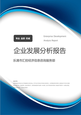 樂清市匯控經(jīng)濟信息咨詢服務(wù)部 企業(yè)定位、業(yè)務(wù)發(fā)展與市場前景分析報告